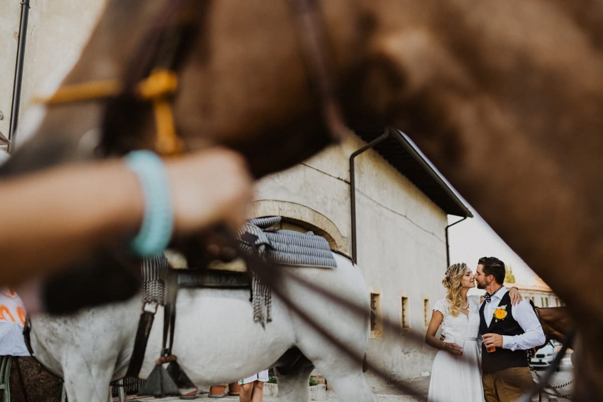Wedding photography service in Trentino, photographer in Trento